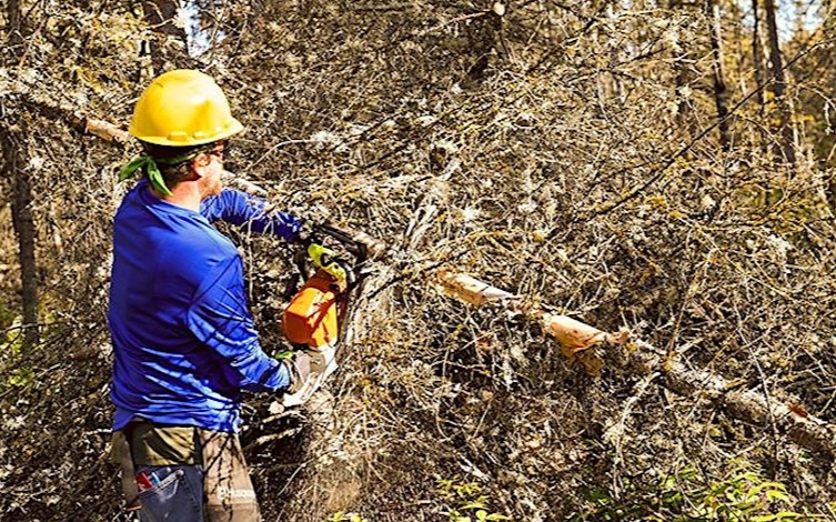 Chainsaw Operation and Woody Debris Disposal Options Class